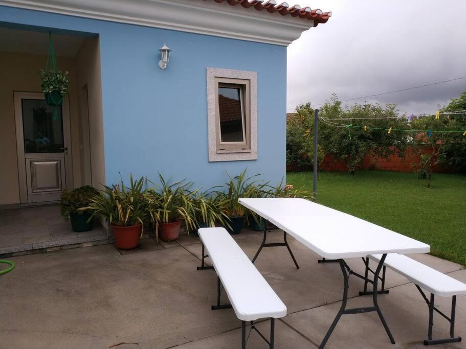 Maison Proche De La Mer Murtosa Dış mekan fotoğraf