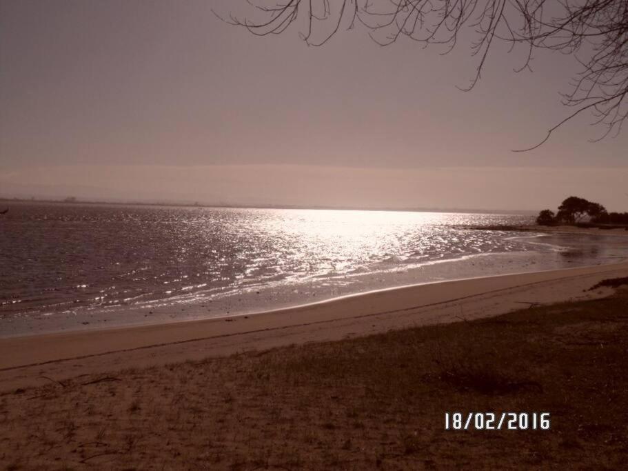 Maison Proche De La Mer Murtosa Dış mekan fotoğraf
